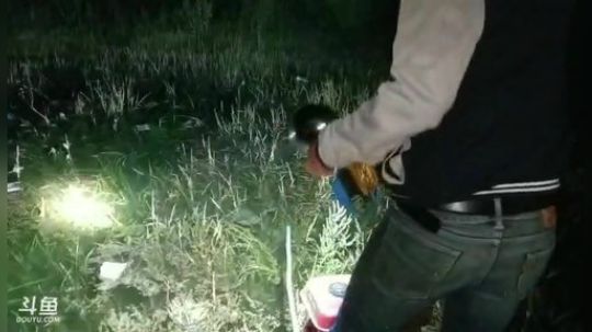 水库叉鱼弄巨货。 2019-05-23 21点场