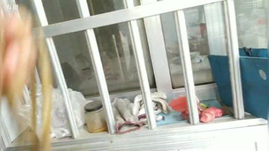 收地笼扣黄鳝。 2019-05-24 16点场