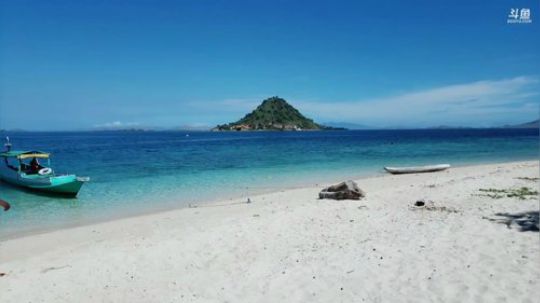 林卡岛科莫多龙 2019-05-23 10点场
