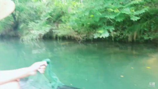 收地笼扣黄鳝。 2019-05-24 09点场