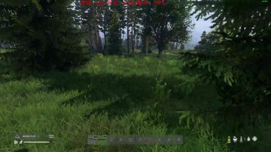 dayz dayz dayz 2019-05-24 18点场