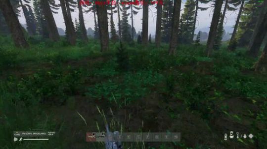 dayz dayz dayz 2019-05-24 20点场