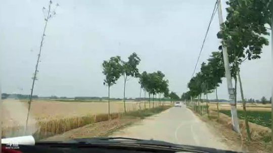 August丶21th发布了一个斗鱼视频2019-05-25