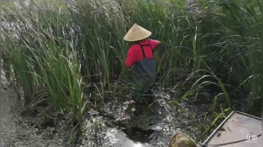 丿Good丶发布了一个斗鱼视频2019-05-25
