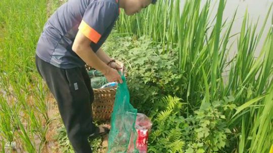 【乡野转盘节】下午四点开播 2019-05-25 16点场