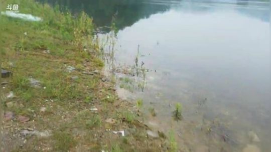 今天水库清理工。 2019-05-25 13点场