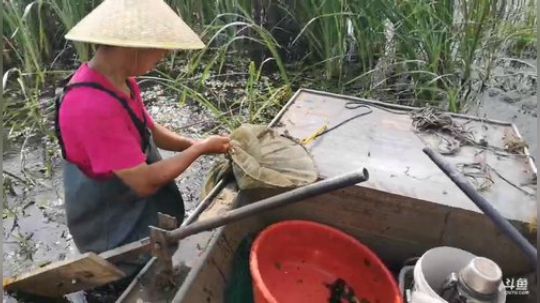 仔仔o兜哩哊糖发布了一个斗鱼视频2019-05-25