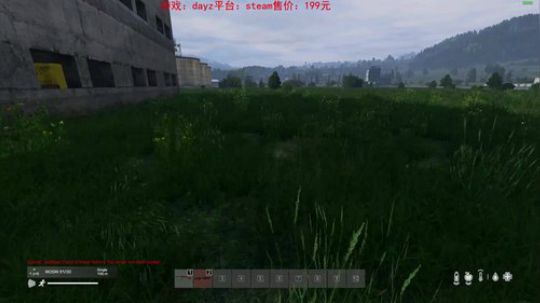 dayz dayz dayz 2019-05-23 23点场
