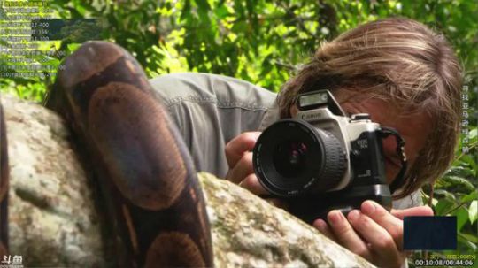 户外遛狗王飞哥发布了一个斗鱼视频2019-05-26