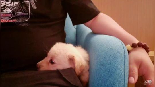 在洪湖小肖直播间！！ 2019-05-25 23点场