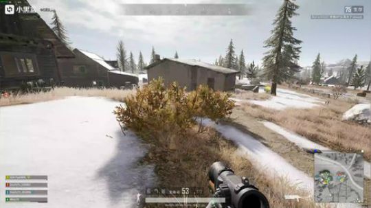 6倍野牛还可以奥！