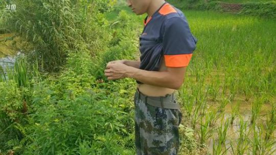 龙虾收割机 2019-05-26 16点场