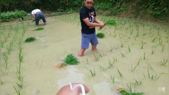 科头溜子发布了一个斗鱼视频2019-05-26