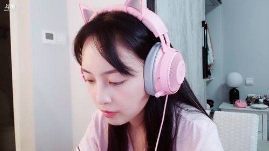 狐狸最最最可爱