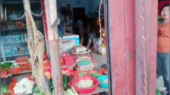 徒搭万州到武汉嘉年华 2019-05-27 18点场