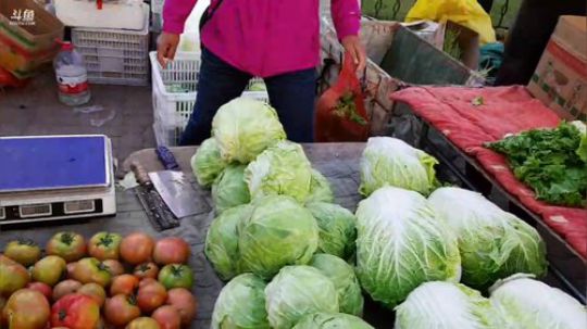 西北老狼哥哥发布了一个斗鱼视频2019-05-27