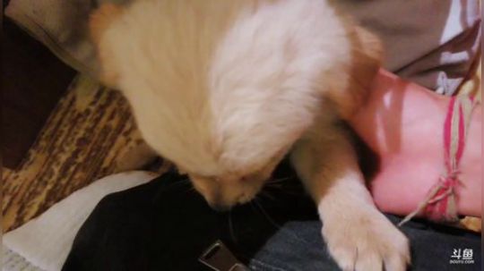 徒搭到武汉嘉年华，27号晚上8点继续前行 2019-05-27 00点场