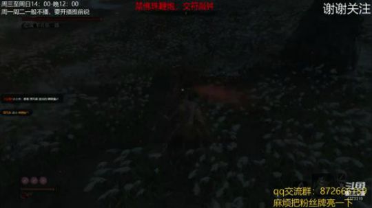 有点飘了，稳一稳 2019-05-26 15点场