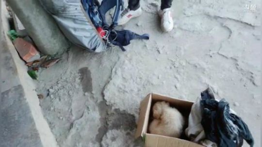 徒搭万州到武汉嘉年华 2019-05-27 16点场