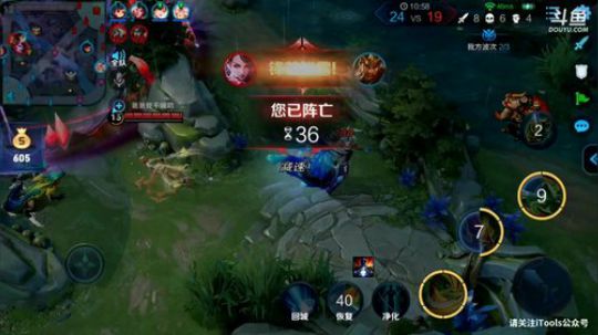 闹闹可遇不可求发布了一个斗鱼视频2019-05-28