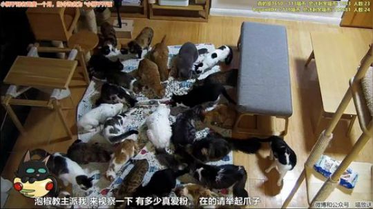 HHHISHHH发布了一个斗鱼视频2019-05-27