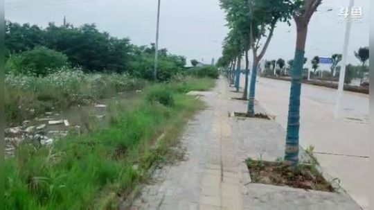 徒搭万州到武汉嘉年华 2019-05-28 17点场