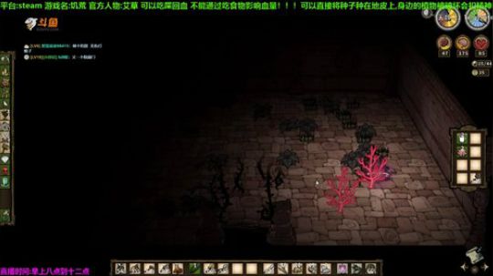 【司徒】植物人--艾草 2019-05-28 11点场