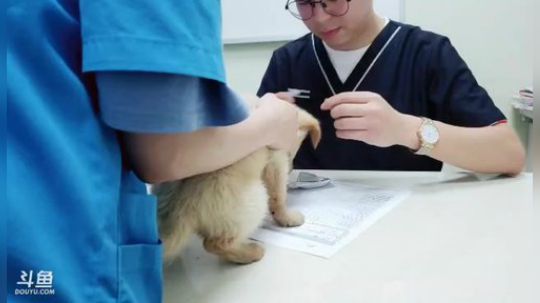 K一DASH发布了一个斗鱼视频2019-05-29