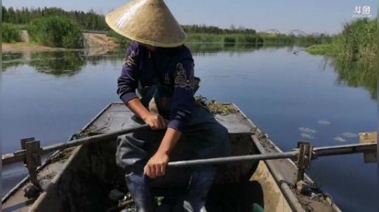 哆啦爱梦梦发布了一个斗鱼视频2019-05-29