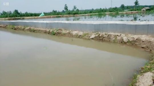 今天下网抓鱼 2019-05-29 10点场