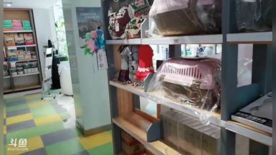 中午12点开播，大家早点吃饭 2019-05-29 13点场