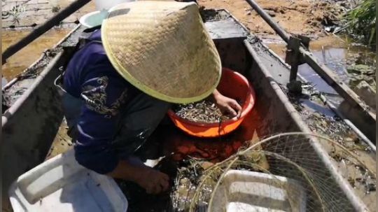 哆啦爱梦梦发布了一个斗鱼视频2019-05-29