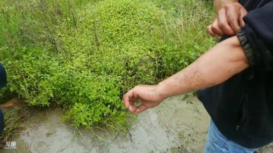 干就完事刨根到底只为他黄鳝。 2019-05-29 10点场