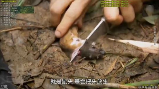 户外遛狗王飞哥发布了一个斗鱼视频2019-05-29