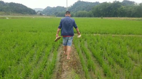 干就完事刨根到底只为他黄鳝。 2019-05-29 12点场