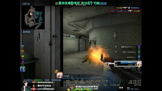 【蛇蛇】工具人打会CSGO 2019-05-27 19点场