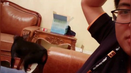 我在斗鱼看火力堂主直播户外