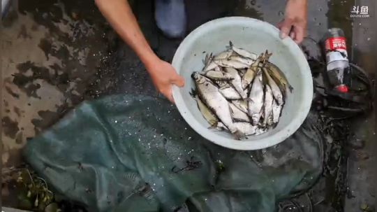 科头溜子发布了一个斗鱼视频2019-05-30