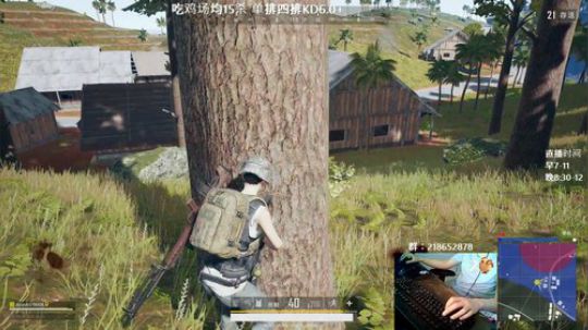 马王爷：kd6/雷神/单排四排 2019-05-29 20点场