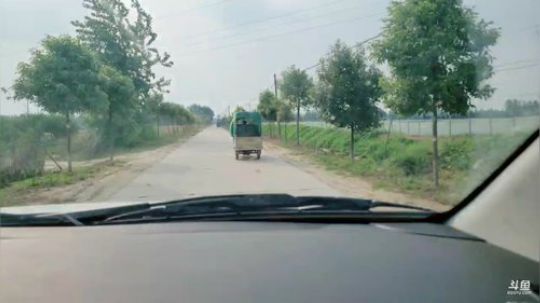 今天下网抓鱼 2019-05-28 16点场