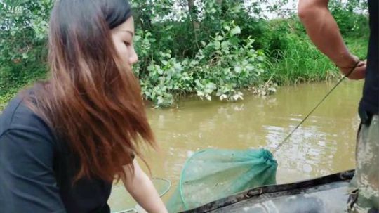 今天下网抓鱼 2019-05-28 14点场