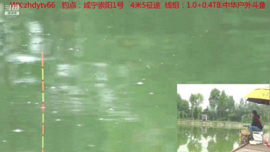 跟着中华去钓鱼 2019-05-30 10点场