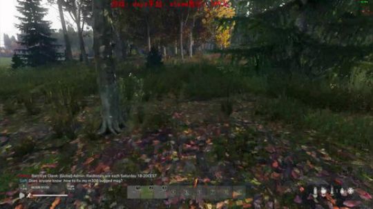 dayz dayz dayz 2019-05-29 22点场