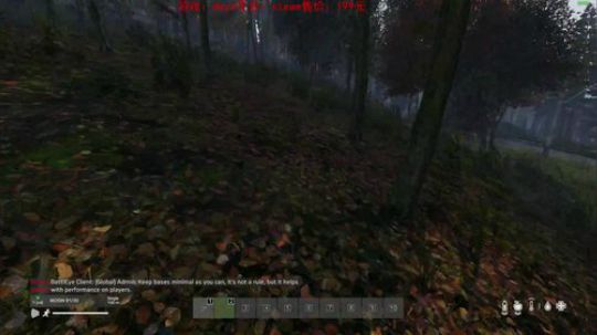 dayz dayz dayz 2019-05-29 18点场