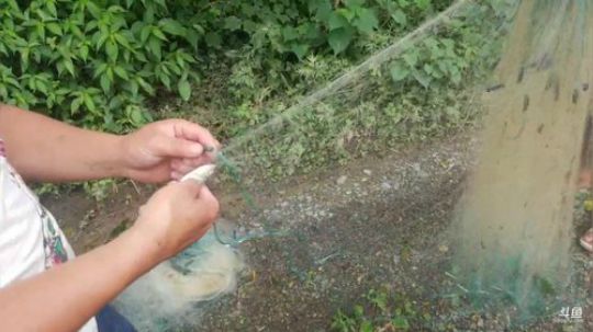 户外生活开始啦。 2019-05-30 15点场