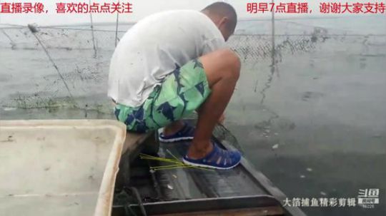 科头溜子发布了一个斗鱼视频2019-05-31