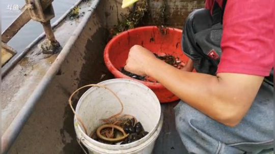 哆啦爱梦梦发布了一个斗鱼视频2019-06-01