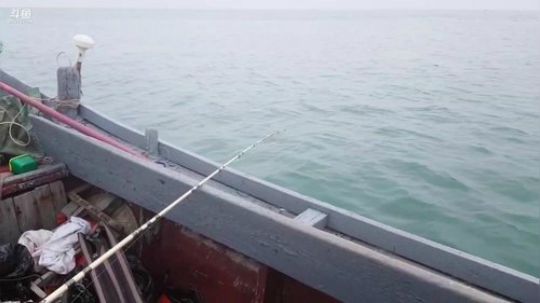 西北老狼哥哥发布了一个斗鱼视频2019-06-01