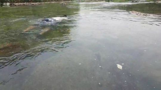 户外生活开始啦。 2019-06-01 14点场