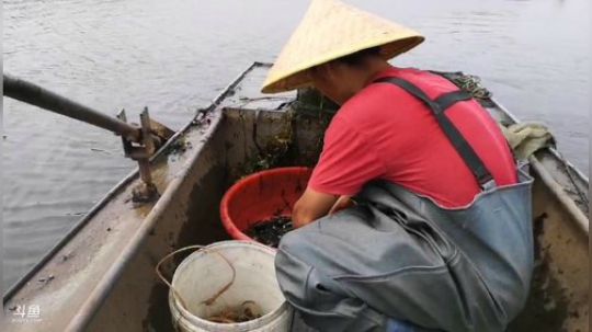 哆啦爱梦梦发布了一个斗鱼视频2019-06-01